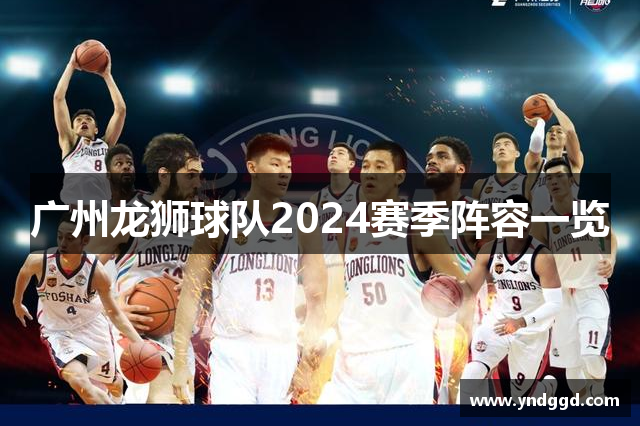 广州龙狮球队2024赛季阵容一览