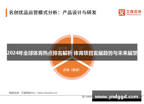 2024年全球体育热点排名解析 体育项目发展趋势与未来展望