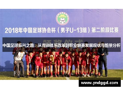 中国足球振兴之路：从青训体系改革到职业联赛发展现状与前景分析