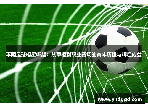 平阴足球明星崛起：从草根到职业赛场的奋斗历程与辉煌成就