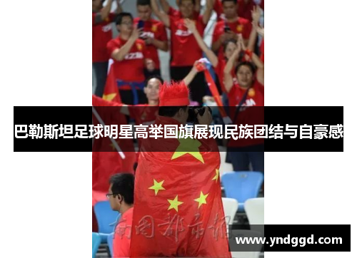 巴勒斯坦足球明星高举国旗展现民族团结与自豪感