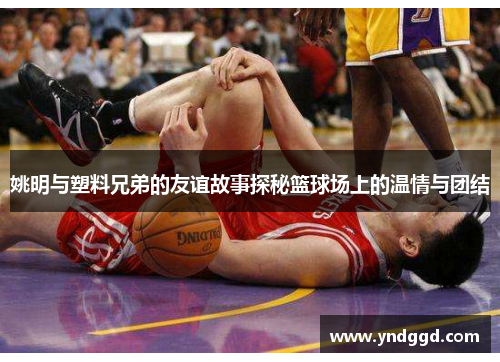 姚明与塑料兄弟的友谊故事探秘篮球场上的温情与团结